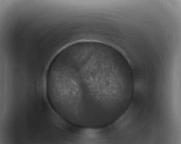 X0000089741514200706281558