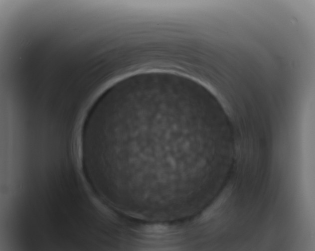 X0000089741515200706281558