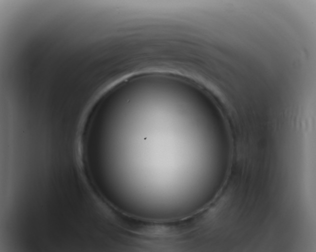 X0000089741517200706281558