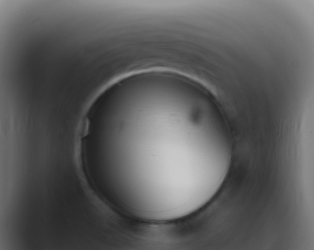 X0000089741518200706281558