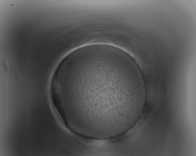 X0000089741519200706281558