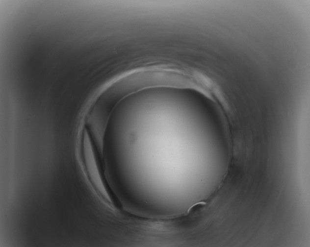 X0000089741520200706281558