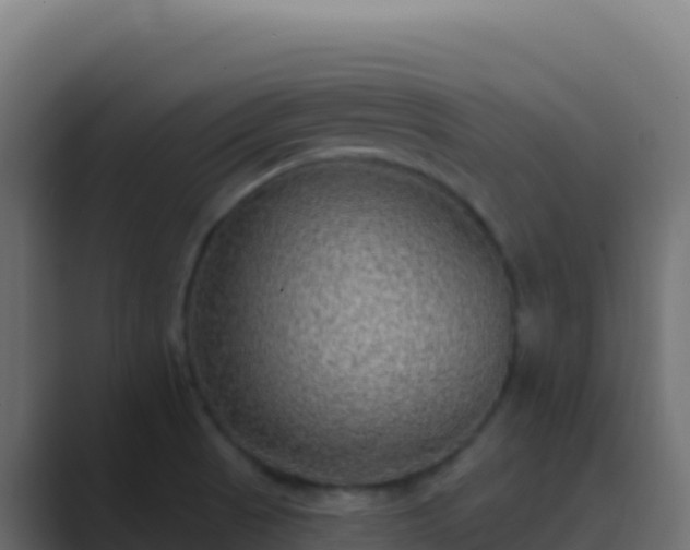 X0000089741521200706281558
