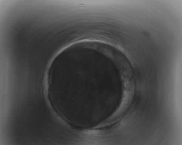 X0000089741522200706281558