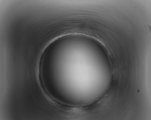 X0000089741523200706281558