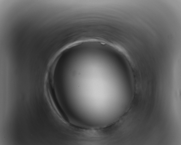 X0000089741524200706281558