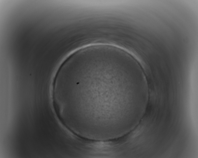 X0000089741527200706281558