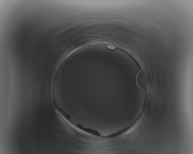 X0000089741529200706281558