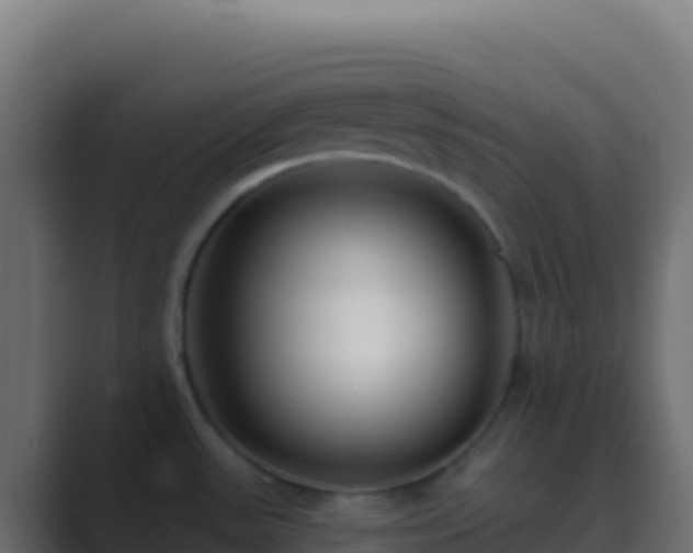 X0000089741531200706281558