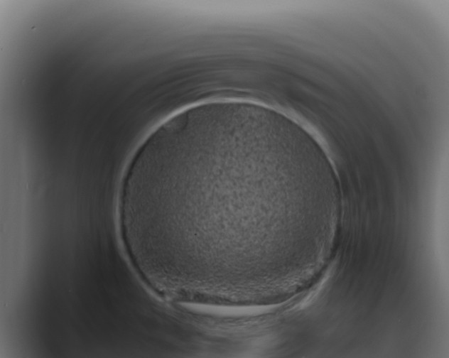 X0000089741533200706281558