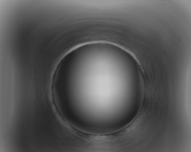 X0000089741534200706281558