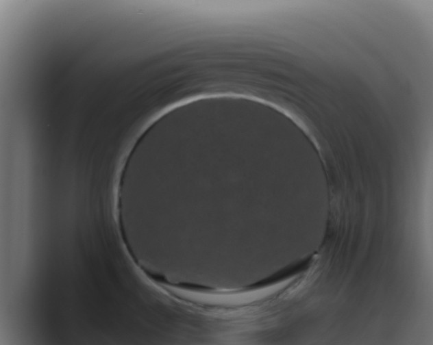 X0000089741535200706281558