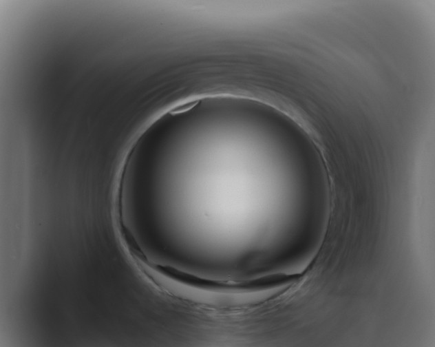 X0000089741536200706281558