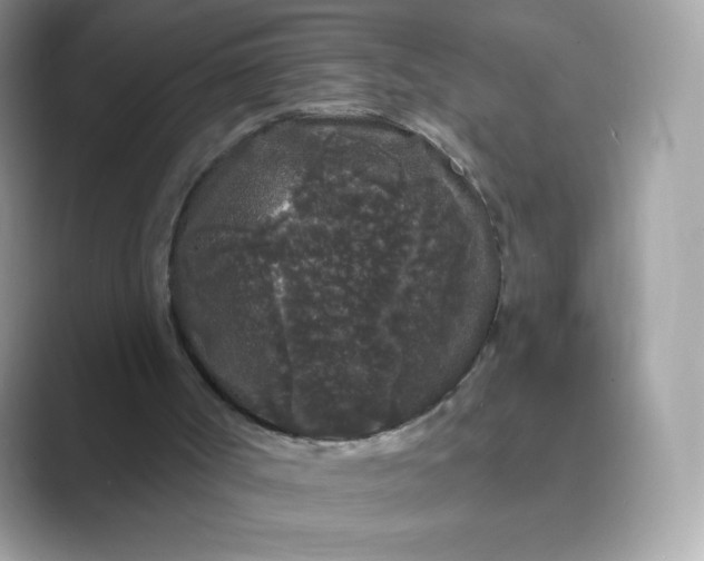 X0000089740002200707051805