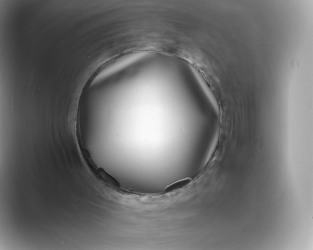 X0000089740003200707051805