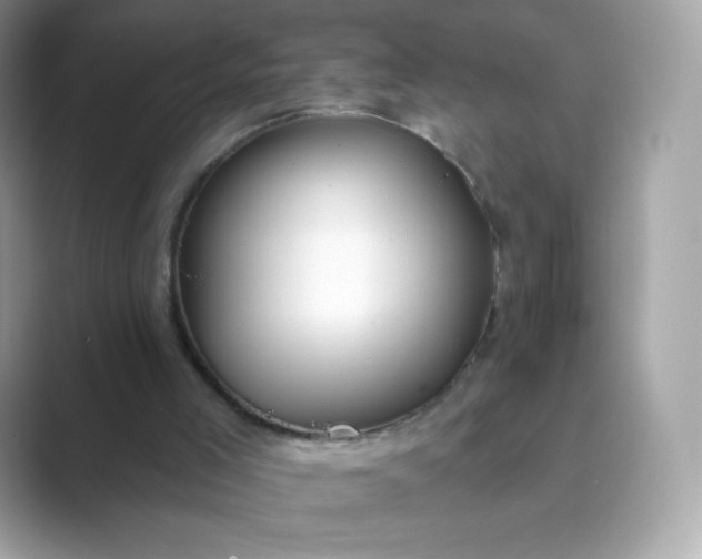 X0000089740005200707051805