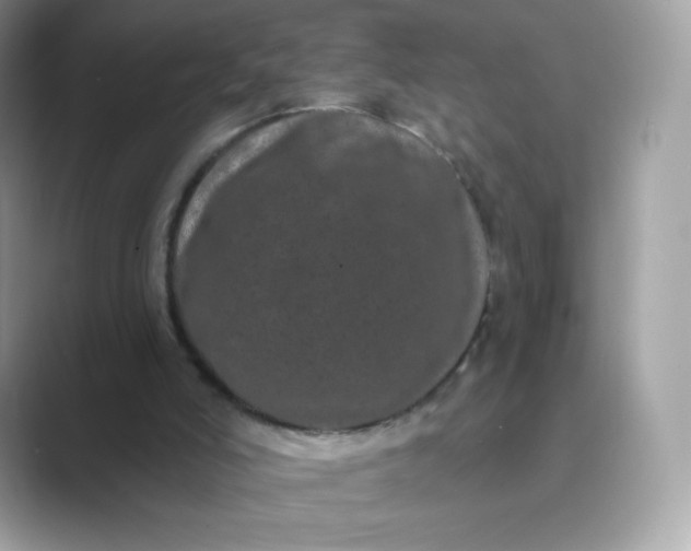 X0000089740006200707051805