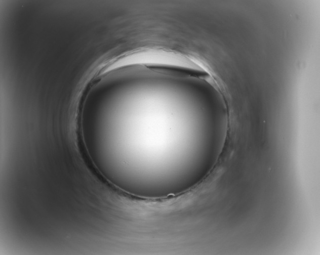 X0000089740007200707051805