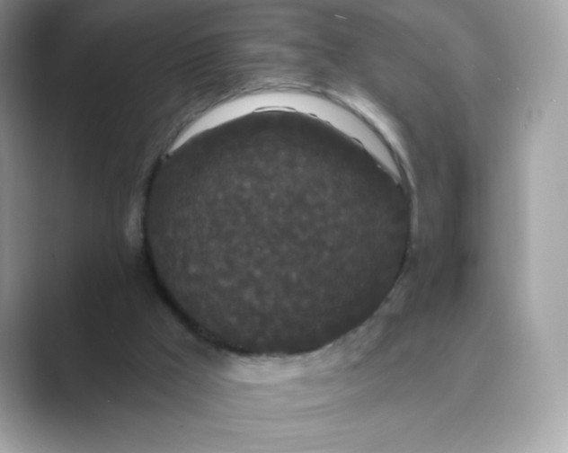 X0000089740009200707051805