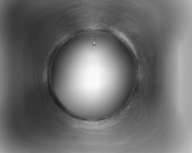 X0000089740010200707051805