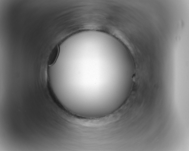 X0000089740011200707051805