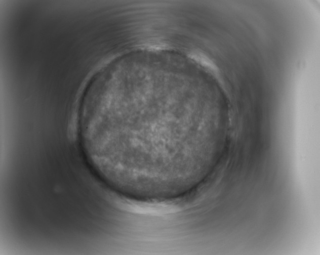 X0000089740012200707051805