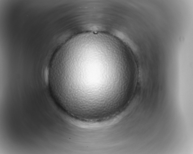 X0000089740014200707051805