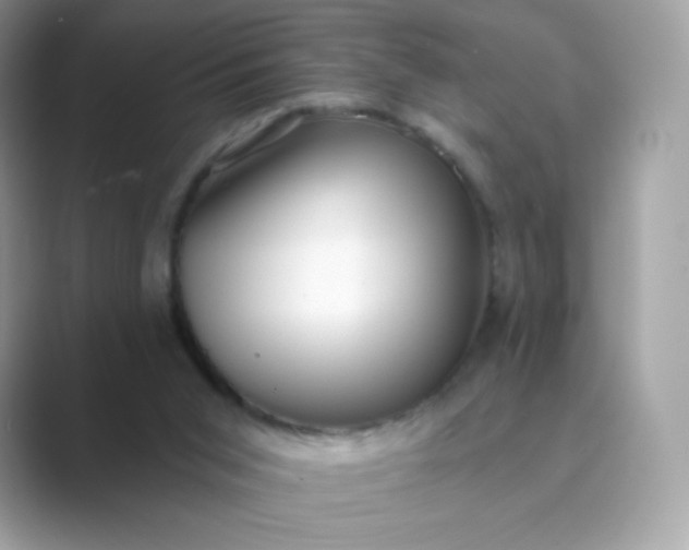 X0000089740015200707051805