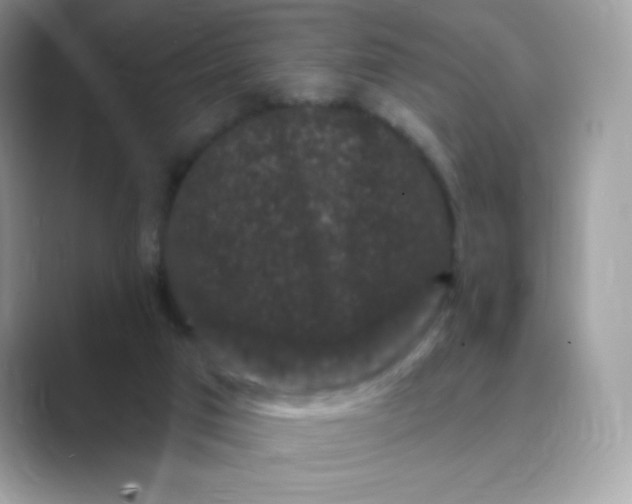 X0000089740017200707051805