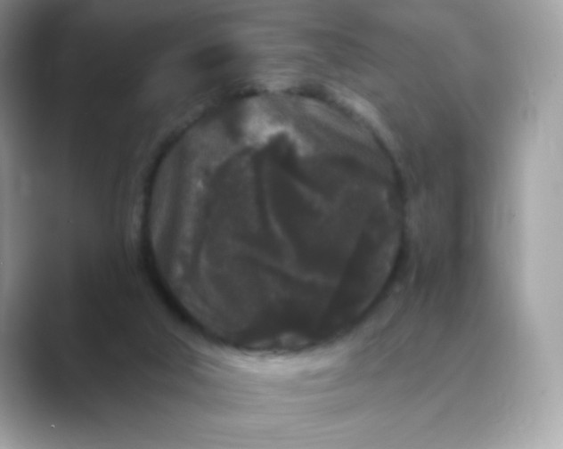 X0000089740018200707051805