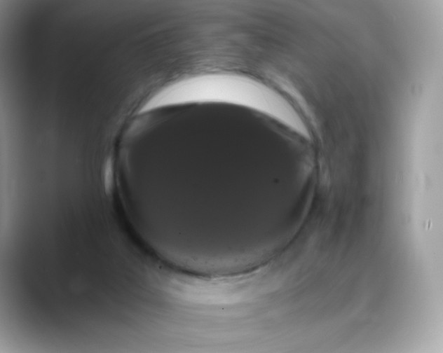 X0000089740019200707051805