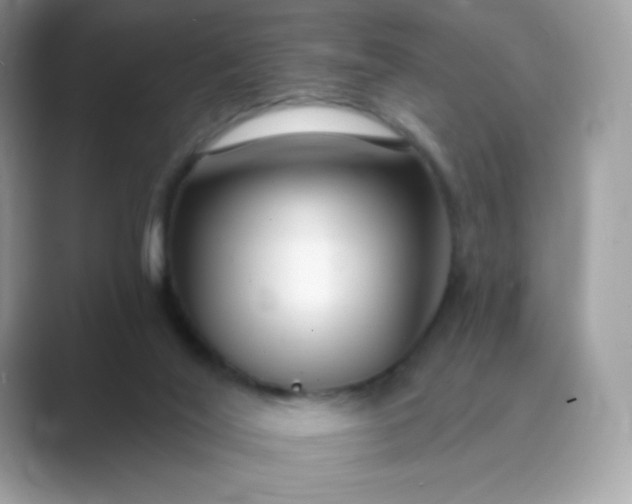 X0000089740020200707051805