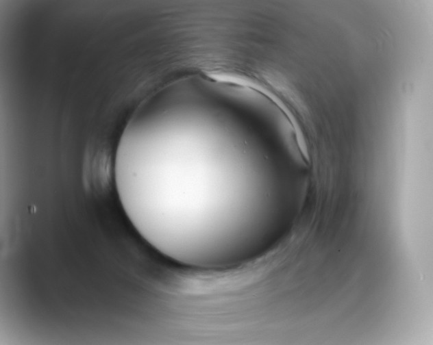 X0000089740021200707051805