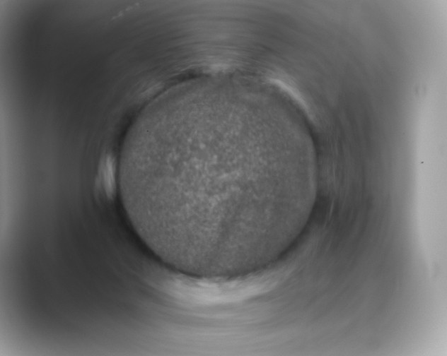 X0000089740022200707051805