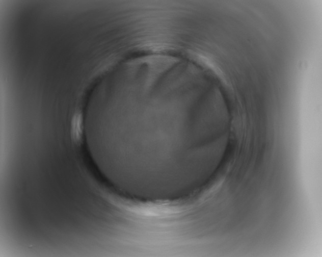 X0000089740024200707051805