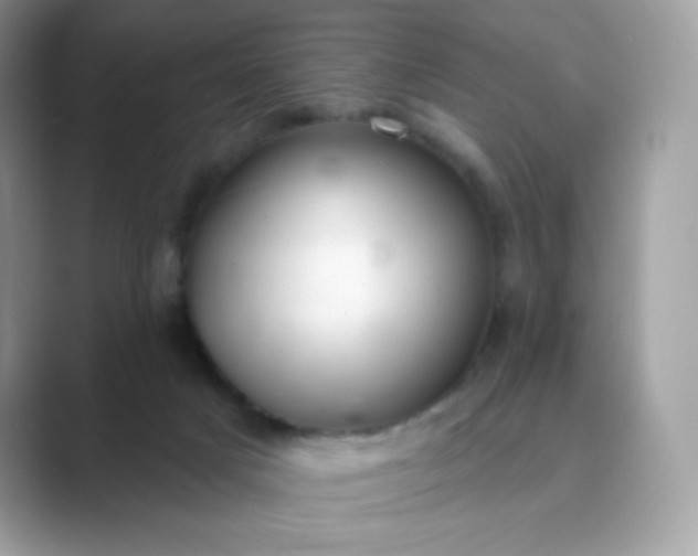 X0000089740025200707051805