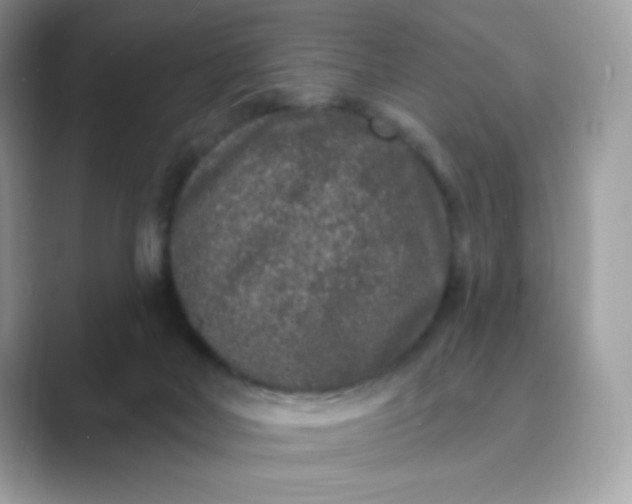 X0000089740026200707051805