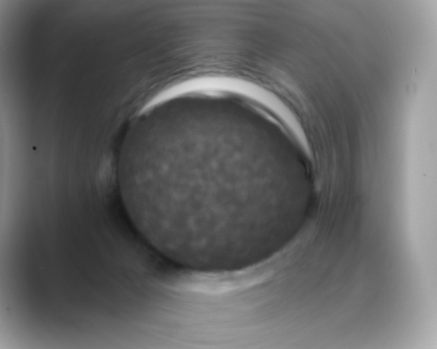 X0000089740029200707051805