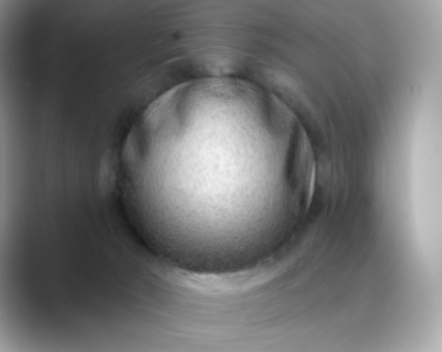 X0000089740030200707051805