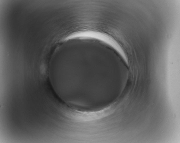 X0000089740031200707051805