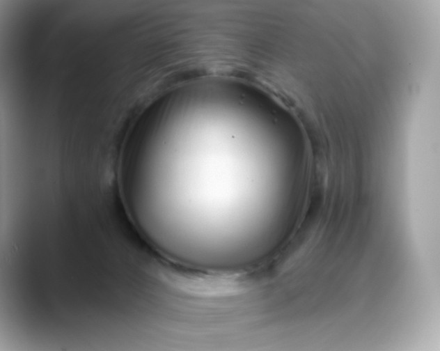 X0000089740032200707051805