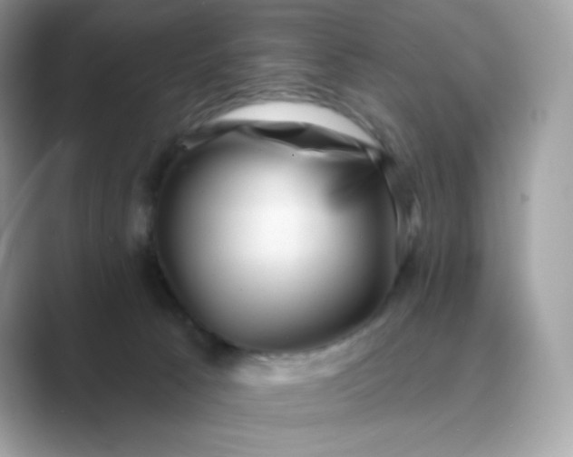 X0000089740033200707051805