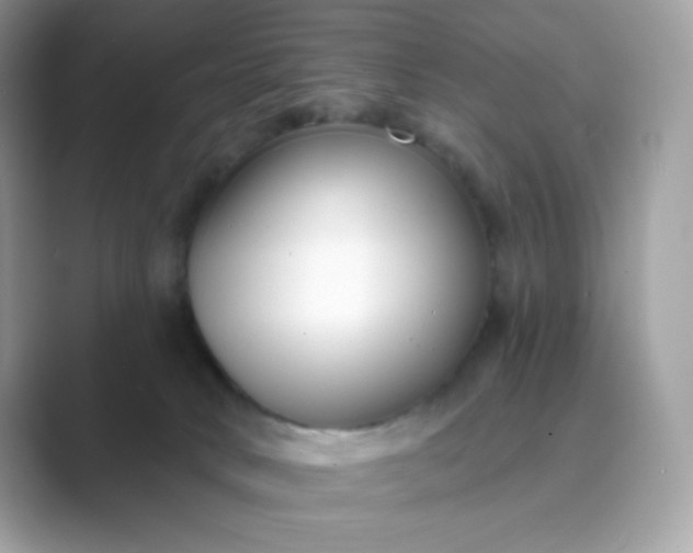 X0000089740034200707051805