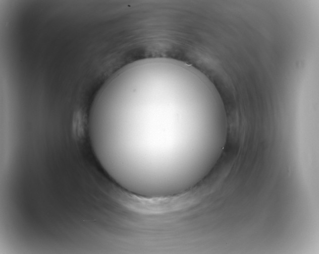 X0000089740038200707051805