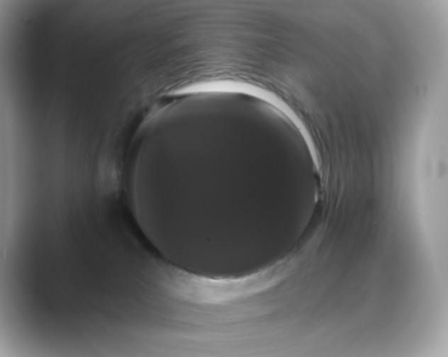 X0000089740039200707051805