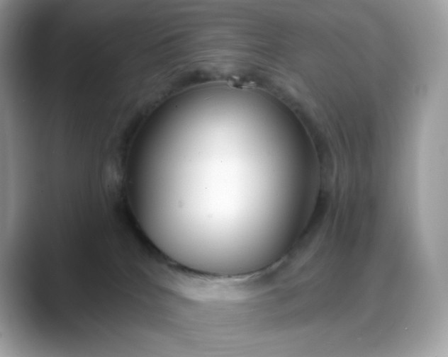 X0000089740040200707051805