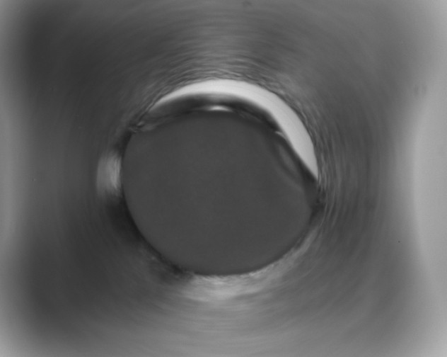 X0000089740041200707051805