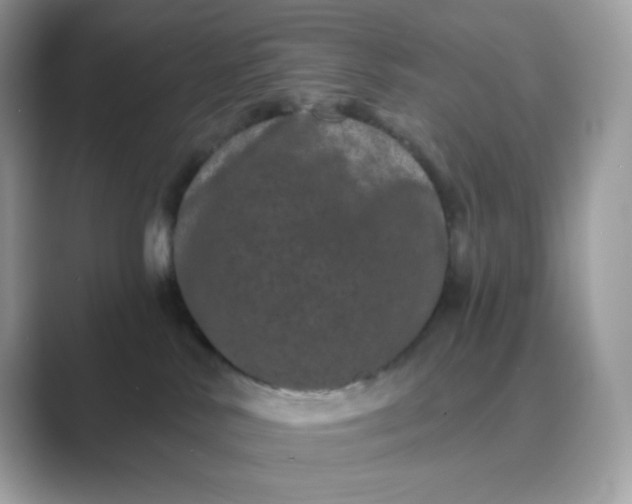 X0000089740042200707051805