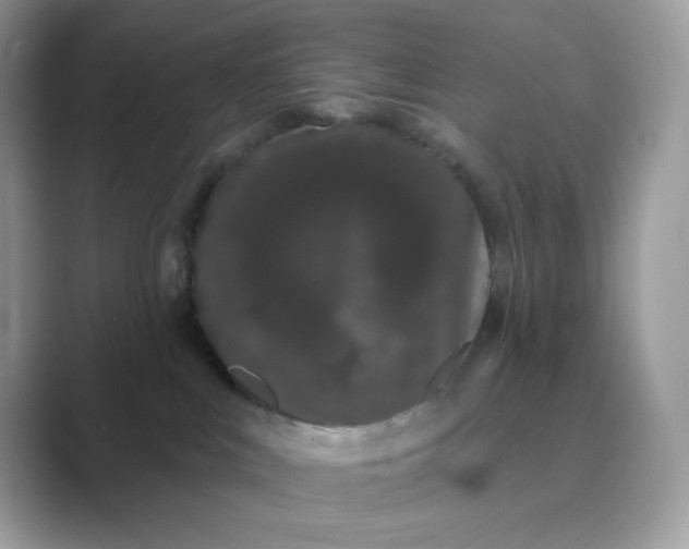 X0000089740043200707051805