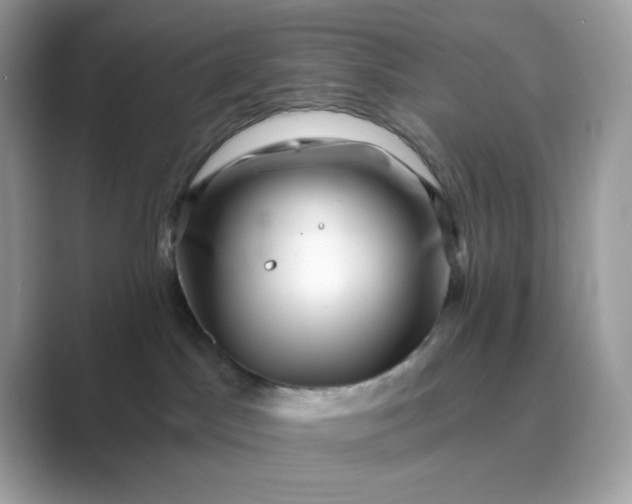 X0000089740045200707051805